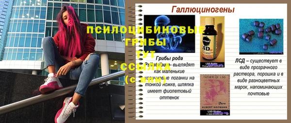ешки Балахна