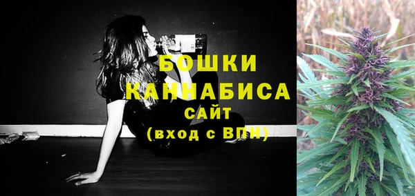 гидра Баксан