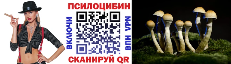 Галлюциногенные грибы Cubensis  omg как войти  Ивдель 
